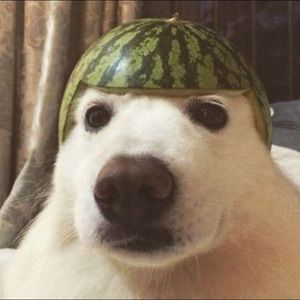 Meet your Posher, Drew